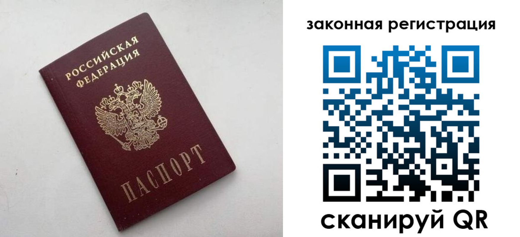 прописка 2025 в Железногорске